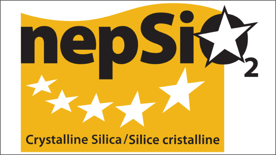 LOGO NEPSI